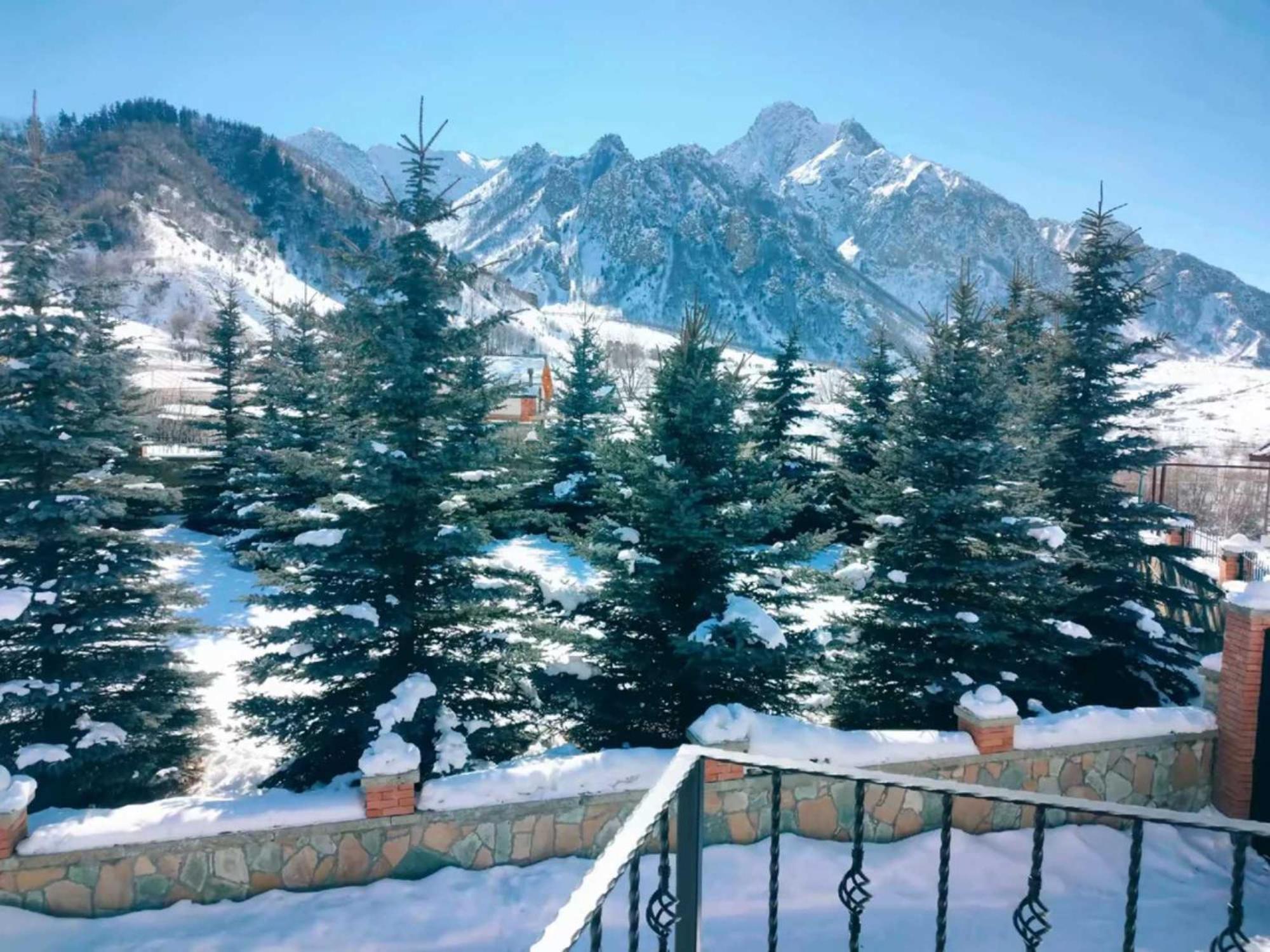 Vardisubani Villa Kazbegi Εξωτερικό φωτογραφία