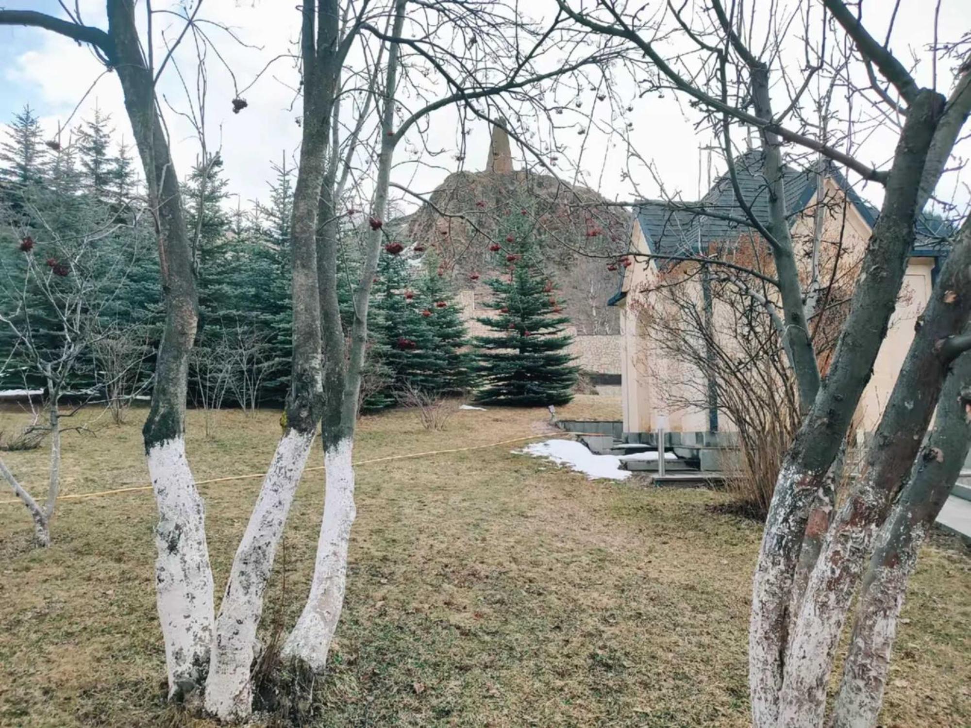 Vardisubani Villa Kazbegi Εξωτερικό φωτογραφία